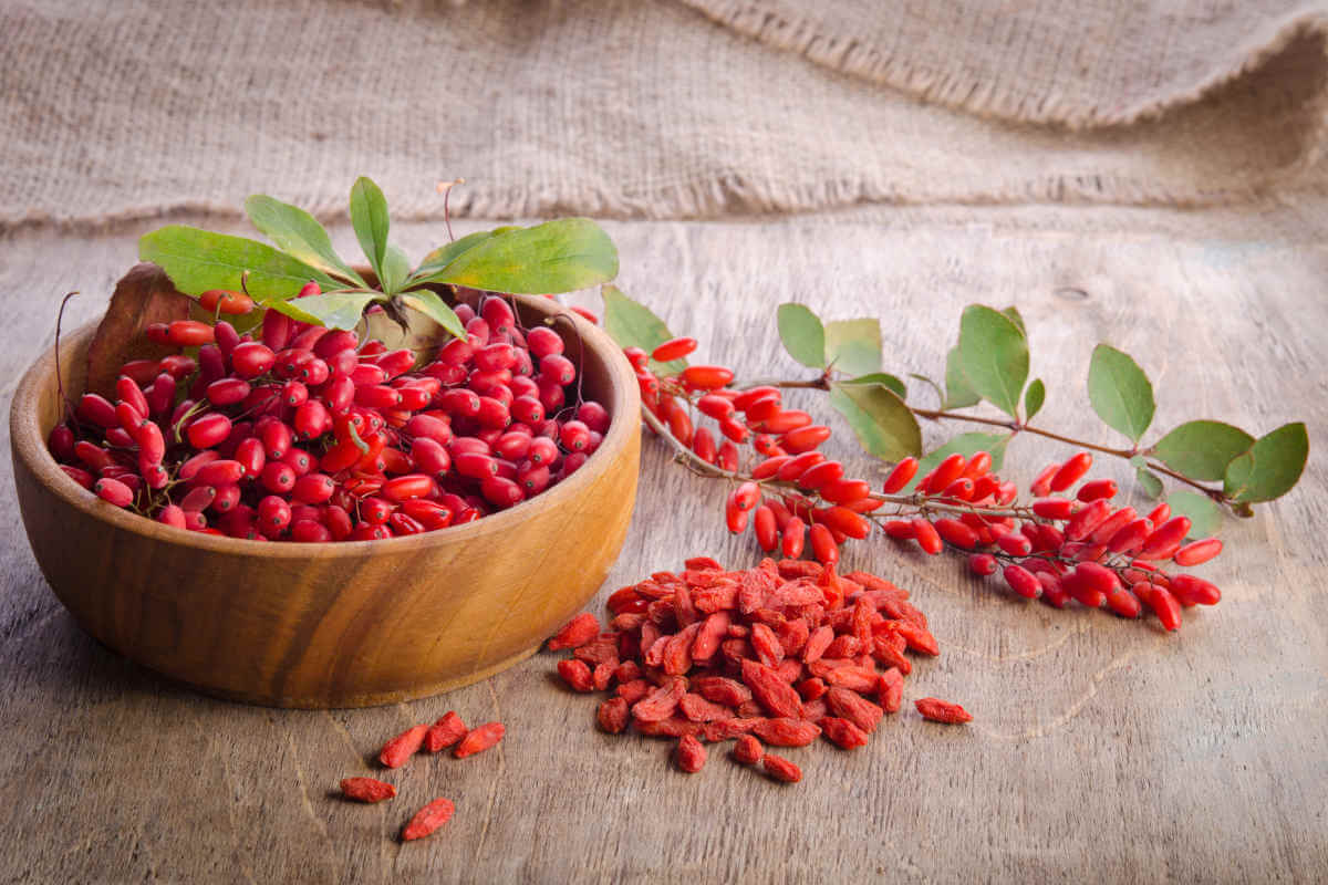 Bild Nahrungsergänzung im Blick: Goji-Beeren